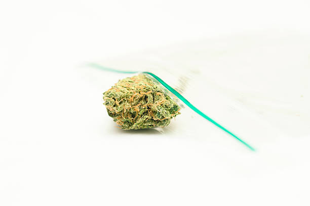 Lipsmacker - 1/2 OZ - Hybrid