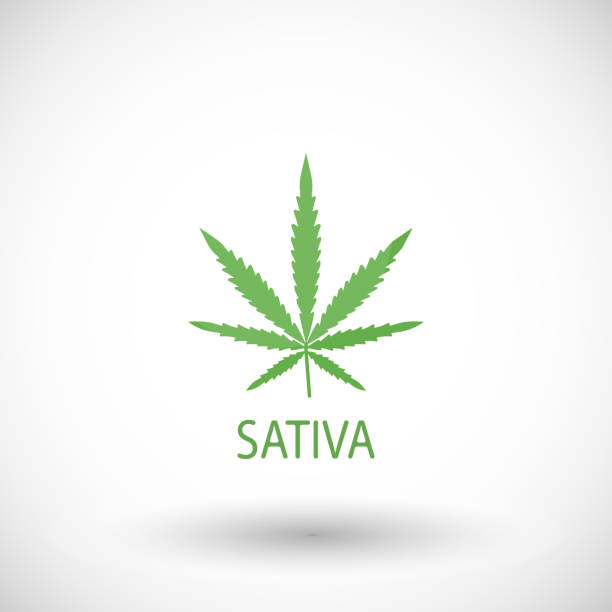 Sativa-Hybrid