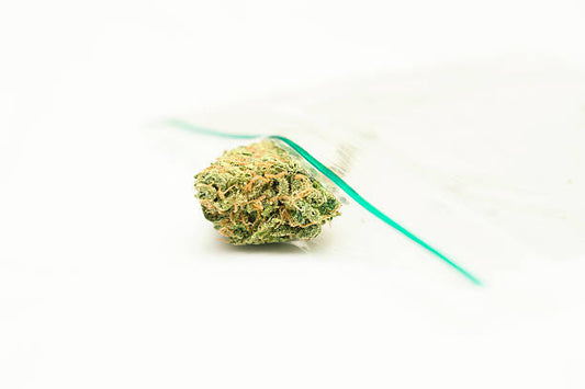 Lipsmacker - 1/2 OZ - Hybrid