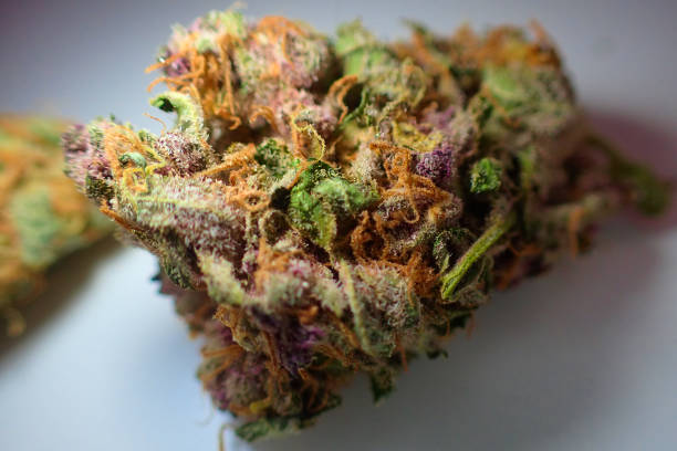 Durban Poison - 1/8 OZ - Sativa