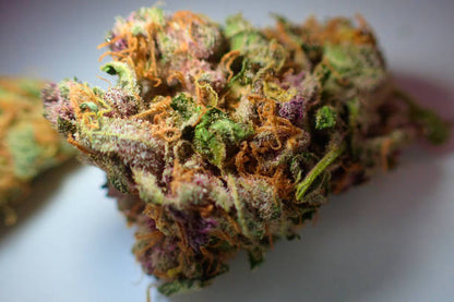 Cherry Runtz - 1/2 OZ - Hybrid