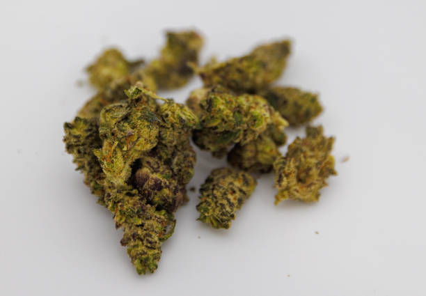 Grapes & Cream - 1/8 OZ - Hybrid