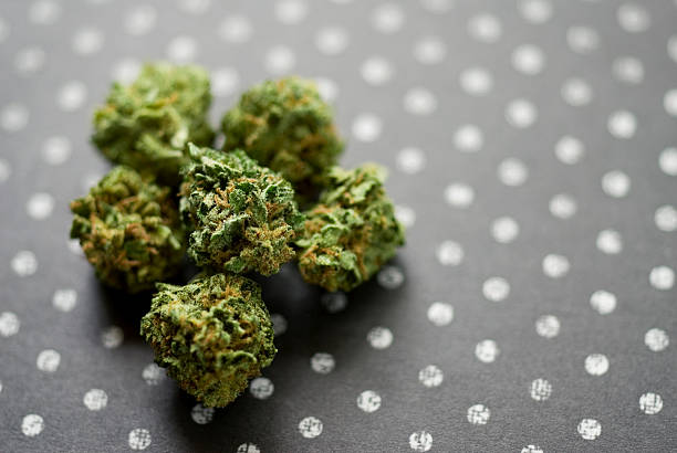 Kush Mintz - 1g Pre-Roll - Hybrid