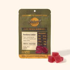 Wildwood Gummy - 100mg Live Resin Gummy 5-Piece Pack - Indica